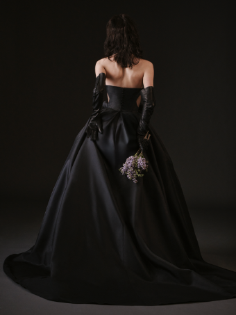 Vera Wang Bride X Pronovias Ailany #4 thumbnail